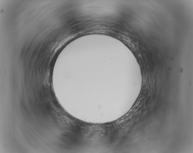 X0000089870146200706281043