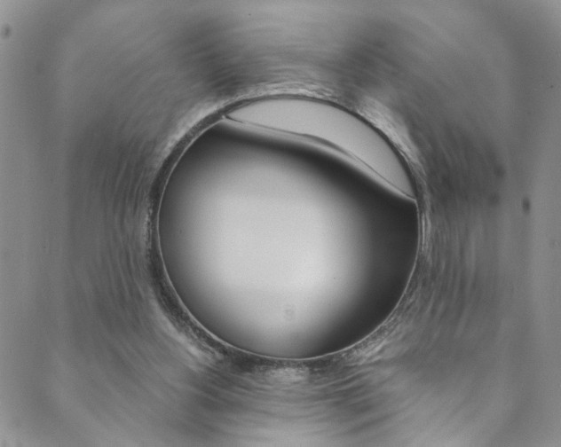 X0000089870156200706281043