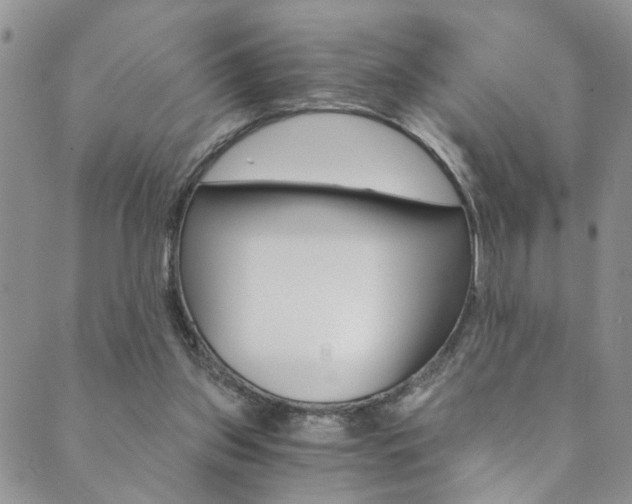 X0000089870157200706281043