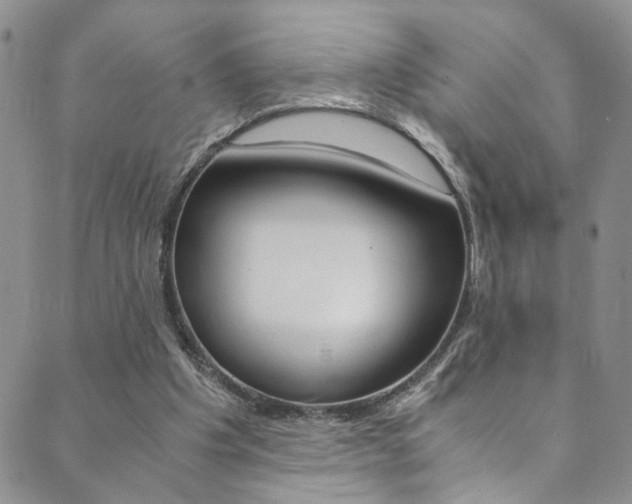 X0000089870201200706281043