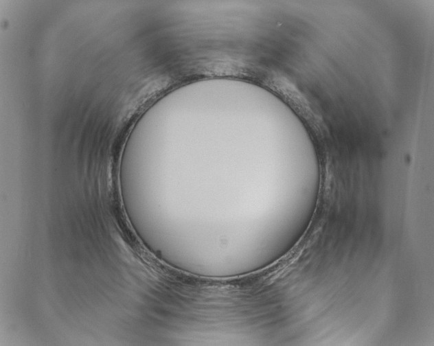 X0000089870202200706281043