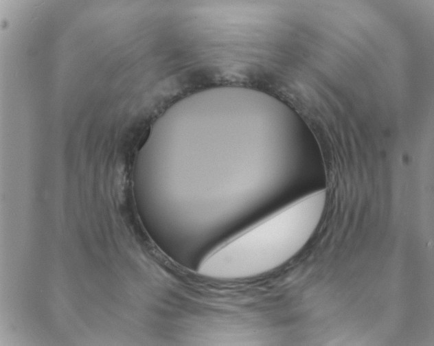 X0000089870223200706281042