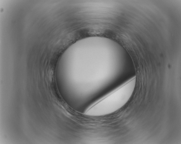 X0000089870227200706281042