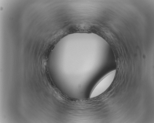 X0000089870235200706281042
