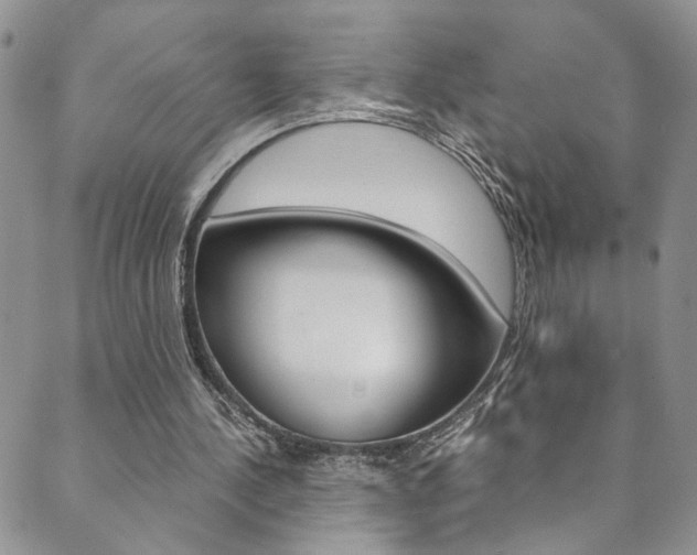 X0000089870244200706281041