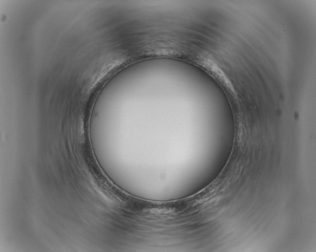X0000089870251200706281042