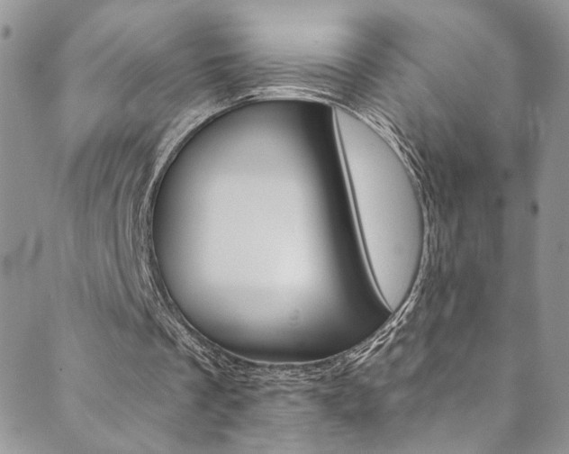 X0000089870289200706281041
