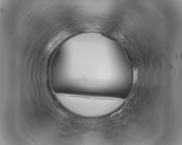 X0000089870291200706281041
