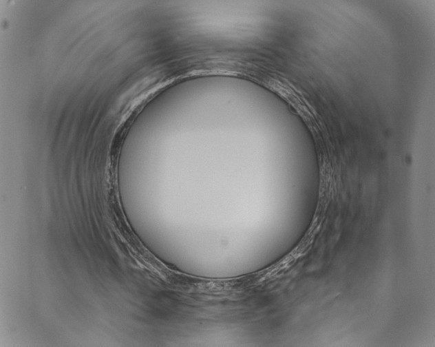 X0000089870338200706281040