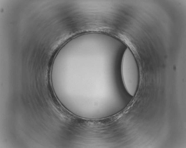 X0000089870346200706281040