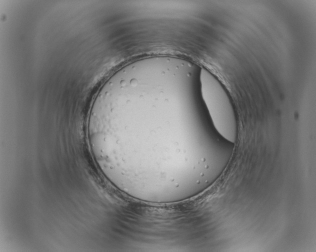 X0000089870347200706281040