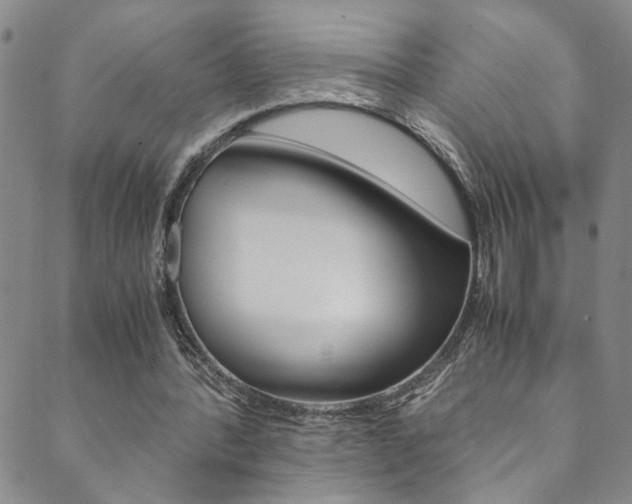 X0000089870388200706281040