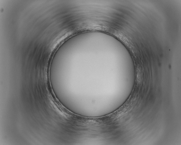 X0000089870390200706281040