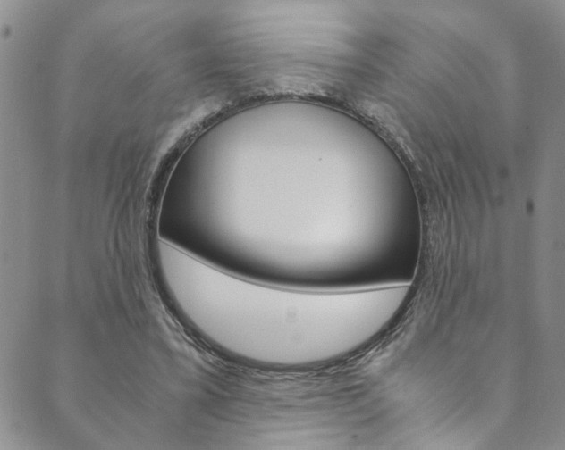 X0000089870395200706281040