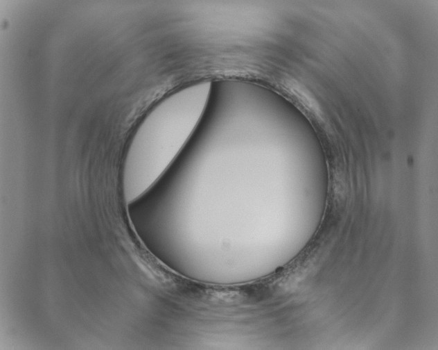 X0000089870401200706281040