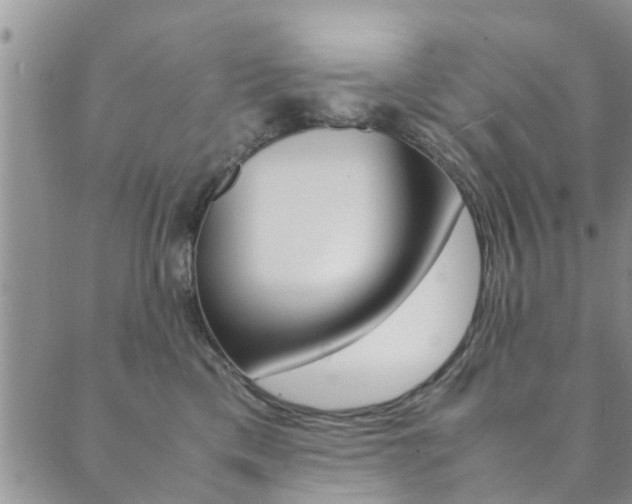 X0000089870425200706281039