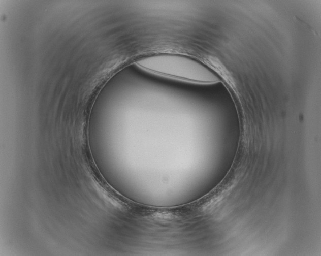 X0000089870441200706281038