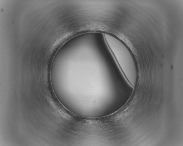 X0000089870442200706281038