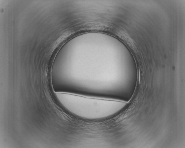 X0000089870483200706281038