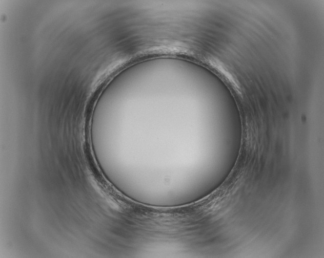 X0000089870486200706281038