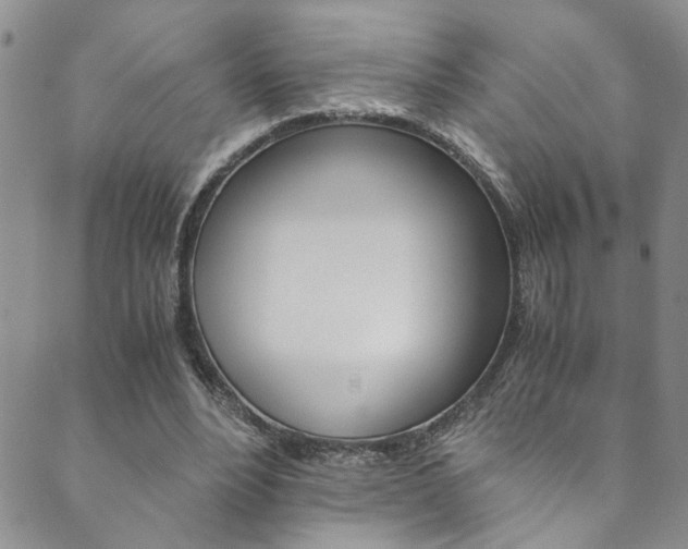 X0000089870488200706281038