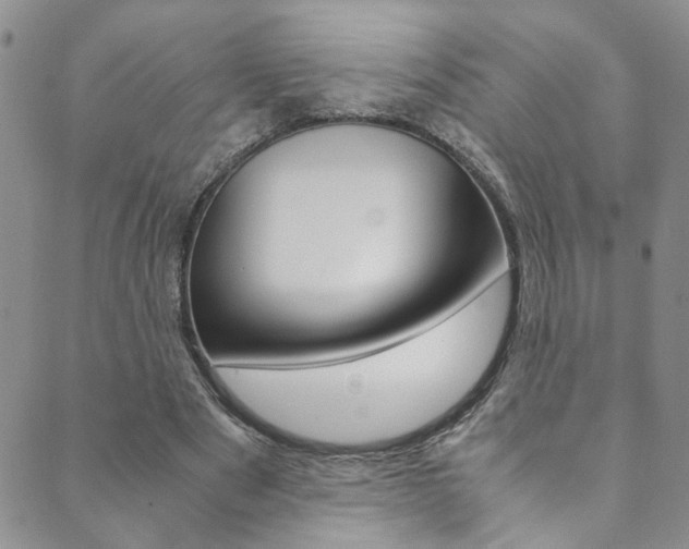 X0000089870489200706281038