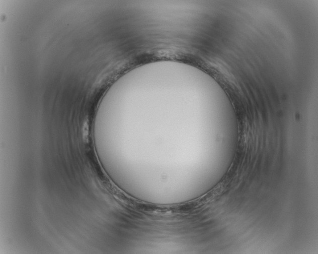 X0000089870502200706281038