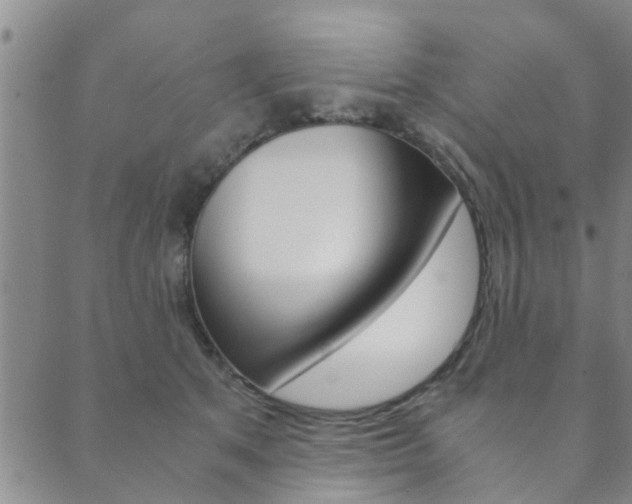 X0000089870513200706281038