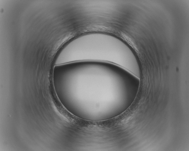 X0000089870538200706281037