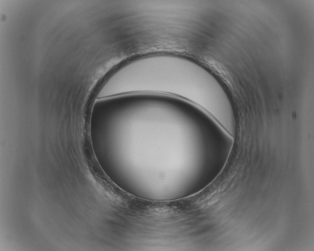 X0000089870540200706281037