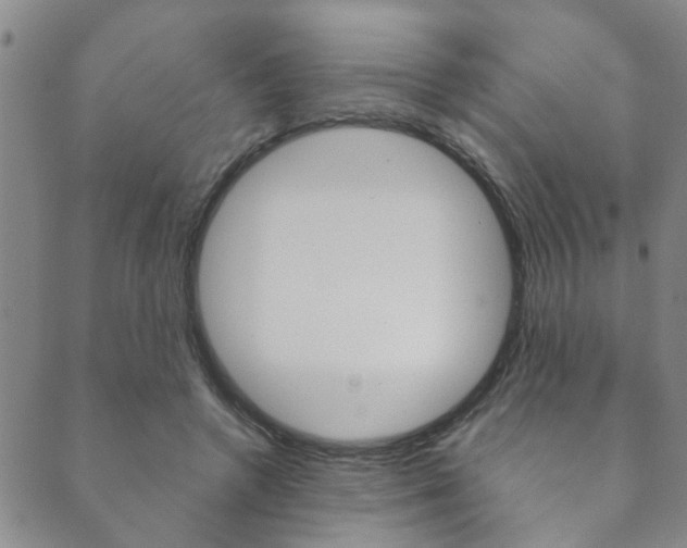 X0000089870546200706281037