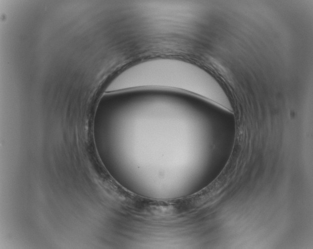 X0000089870552200706281037