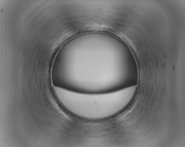 X0000089870581200706281037