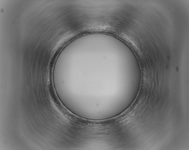 X0000089870582200706281037