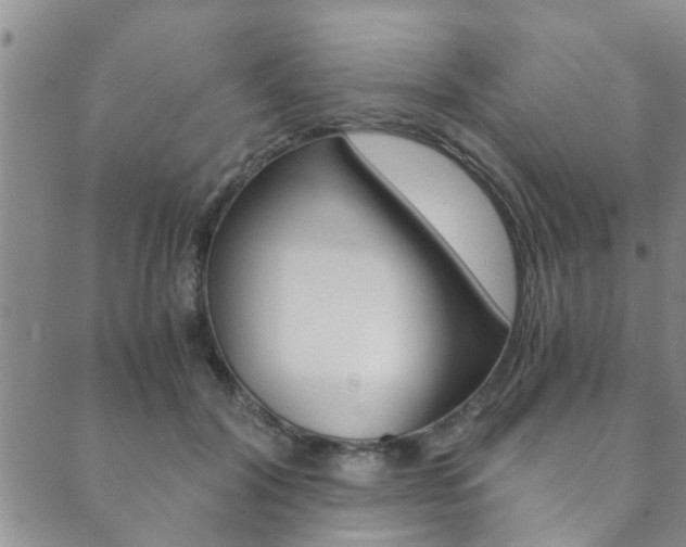 X0000089870604200706281036