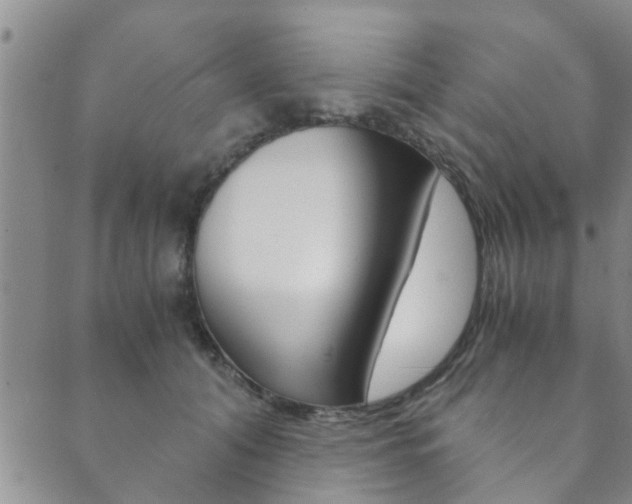 X0000089870608200706281036