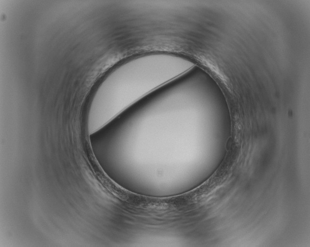 X0000089870631200706281035