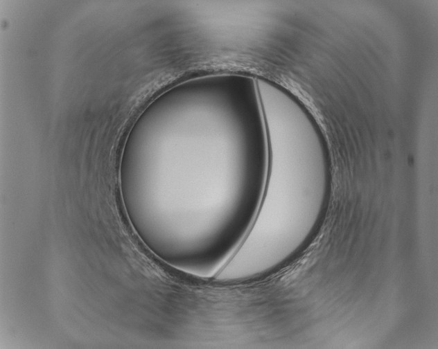 X0000089870673200706281035