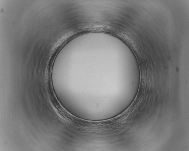 X0000089870674200706281035