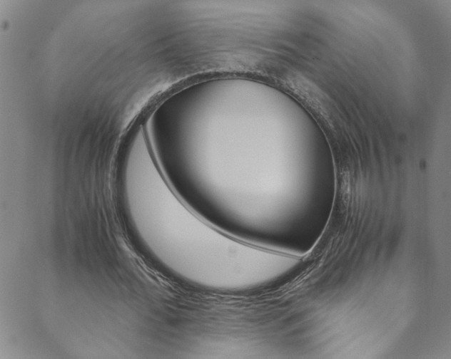 X0000089870676200706281035