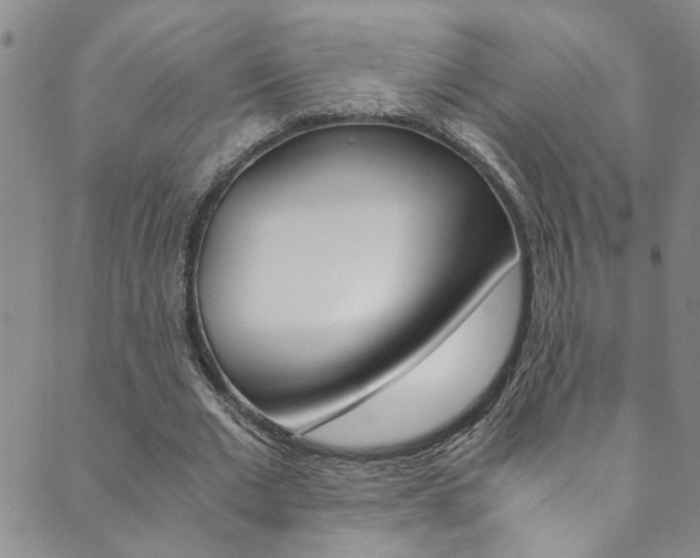 X0000089870677200706281035