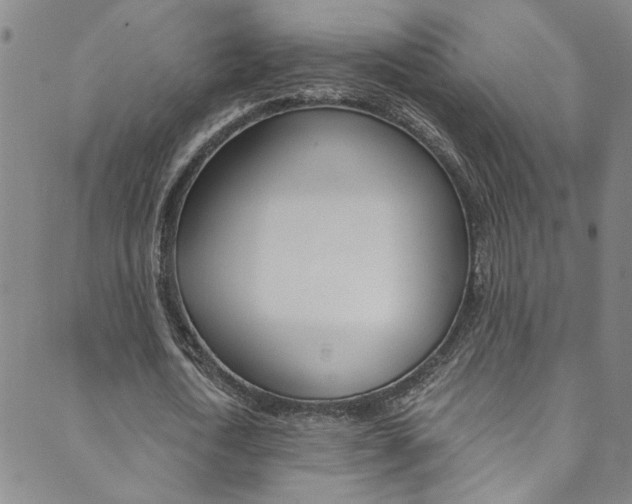 X0000089870722200706281034