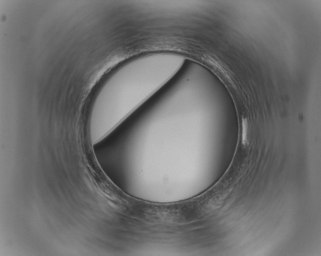 X0000089870723200706281034