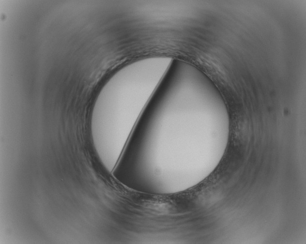 X0000089870743200706281034