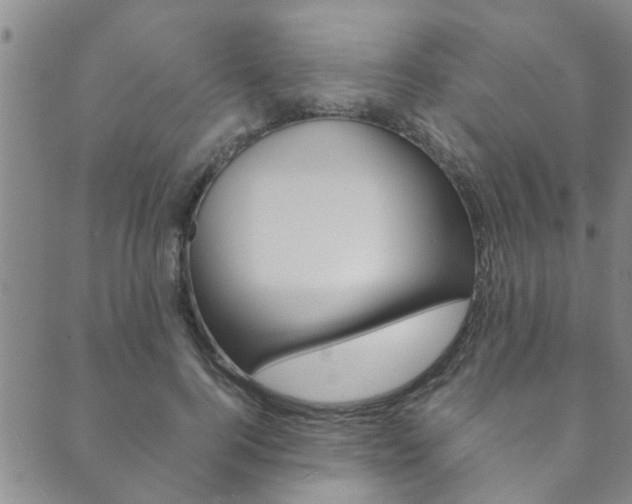X0000089870744200706281034