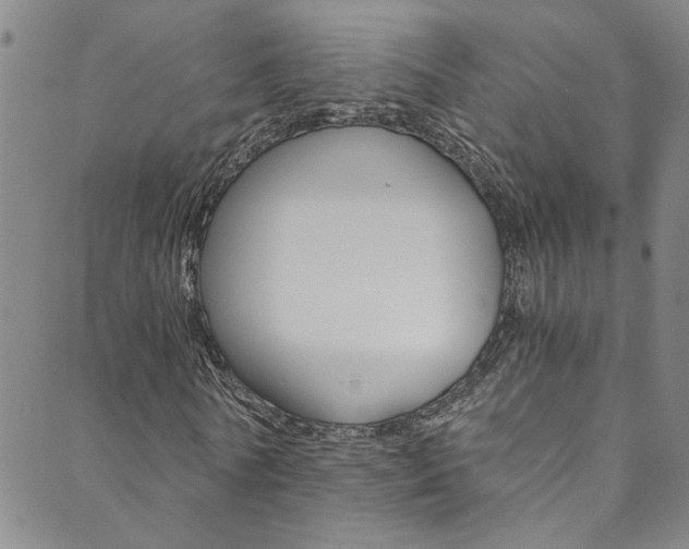 X0000089870770200706281034