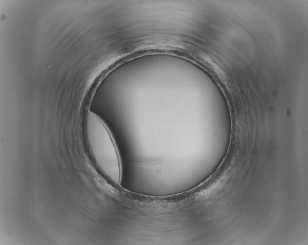 X0000089870779200706281033