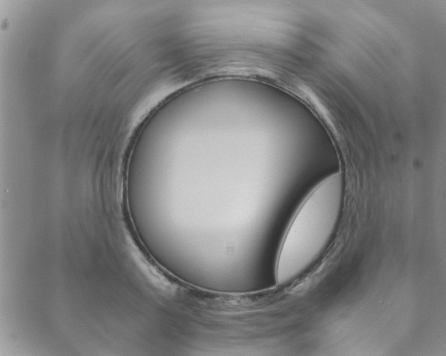 X0000089870795200706281033
