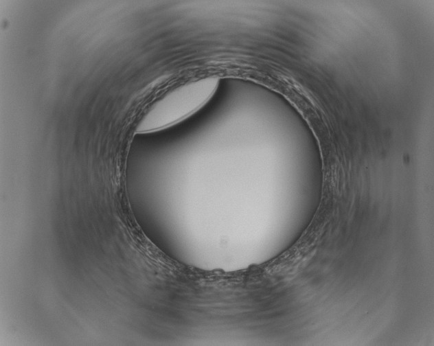 X0000089870821200706281032
