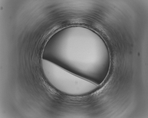 X0000089870825200706281032